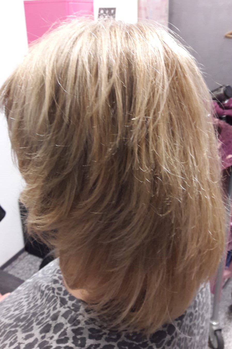 balayage kapper leidschendam